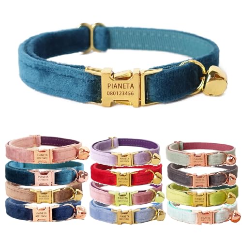 Katzenhalsband, personalisierbar mit Name und Glöckchen, personalisierbar, Samt-Halsbänder für Welpen, Kätzchen (Edelsteingrün + goldfarbener Verschluss, S (6"-10")) von Defgeph