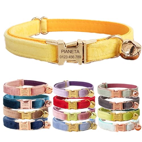 Katzenhalsband, personalisierbar mit Name und Glöckchen, personalisierbar, Samt-Halsbänder für Welpen, Kätzchen (Gelb, L (8"-13")) von Defgeph
