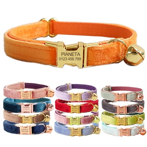 Katzenhalsband, personalisierbar mit Name und Glöckchen, personalisierbar, Samt-Halsbänder für Welpen, Kätzchen (Orange, S (6"-10")) von Defgeph