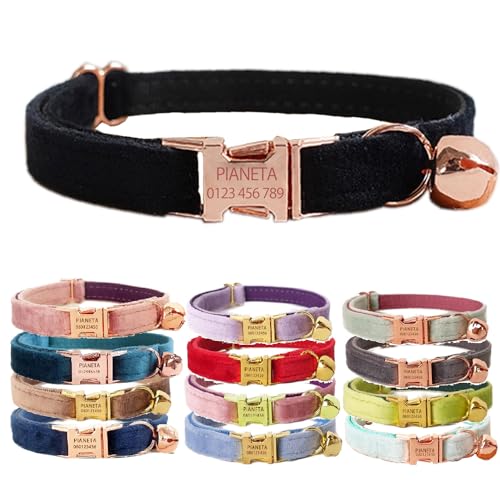 Katzenhalsband, personalisierbar mit Name und Glöckchen, personalisierbar, Samt-Halsbänder für Welpen, Kätzchen (Schwarz, S (6"-10")) von Defgeph
