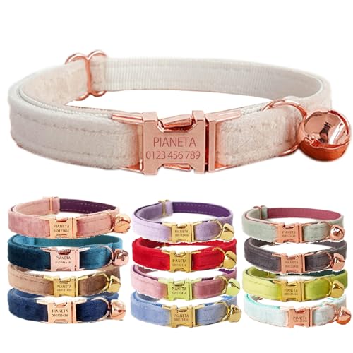 Katzenhalsband, personalisierbar mit Name und Glöckchen, personalisierbar, Samt-Halsbänder für Welpen, Kätzchen (cremefarben, S (6"-10")) von Defgeph