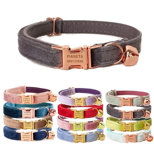Katzenhalsband, personalisierbar mit Namen und Glöckchen, maßgeschneiderte Samthalsbänder für Welpen, Kätzchen (S (15,2 cm - 25,4 cm), Grau) von Defgeph