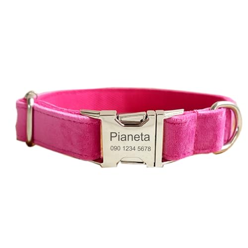 Personalisiertes Hundehalsband – Weicher, bequemer Samt, benutzerdefinierte Hundehalsbänder mit Haustierinformationen auf der Metallplatte, Hundeleine und Fliege erhältlich (XS Halsumfang 22,9 cm - Personalisiertes Hundehalsband – Weicher, bequemer Samt, benutzerdefinierte Hundehalsbänder mit Haustierinformationen auf der Metallplatte, Hundeleine und Fliege erhältlich (XS Halsumfang 22,9 cm - von Defgeph