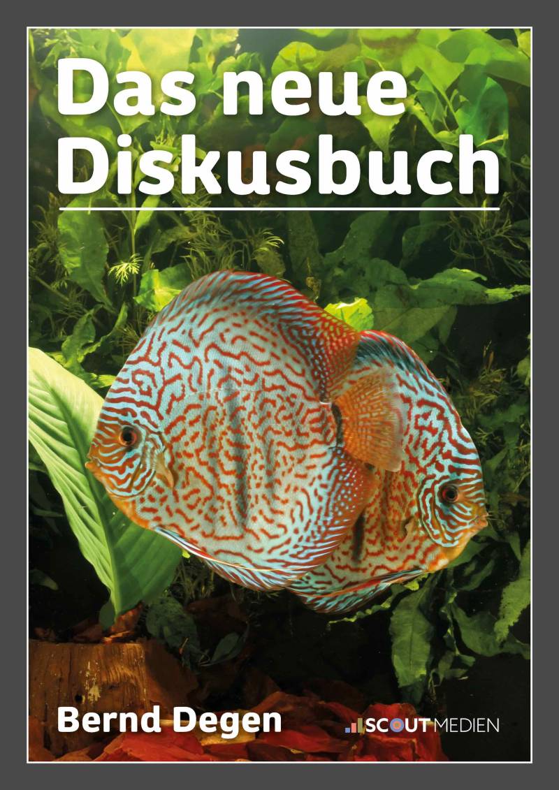 Das neue Diskusbuch Das neue Diskusbuch von Degen
