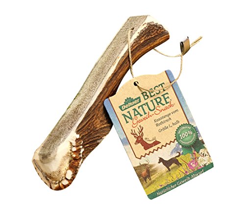 Dehner Best Nature Hundesnack, hochwertiges Leckerli geruchsarm / 100 % narürlich, Kausnack für Hunde, Rothirsch-Geweih halb, Größe L von Dehner