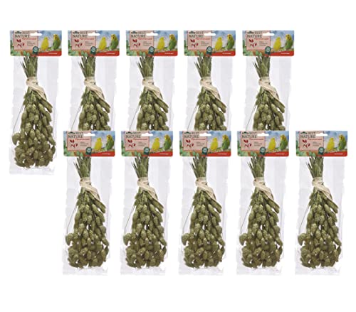 Dehner Best Nature Vogelsnack, Kanariensaat für Ziervögel, 100 % natürliche Ährenstücke, 10 x 50 g (500 g) von Dehner