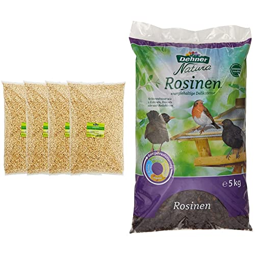 Dehner Haferflocken-Großblatt für Wildvögel, 4 x 2.5 kg (10 kg) & | Natura | Vogelfutter | Wildvogelfutter Ganzjährig | Rosinen & Rotkehlchen | Ohne chemische Zusätze | 5 kg von Dehner