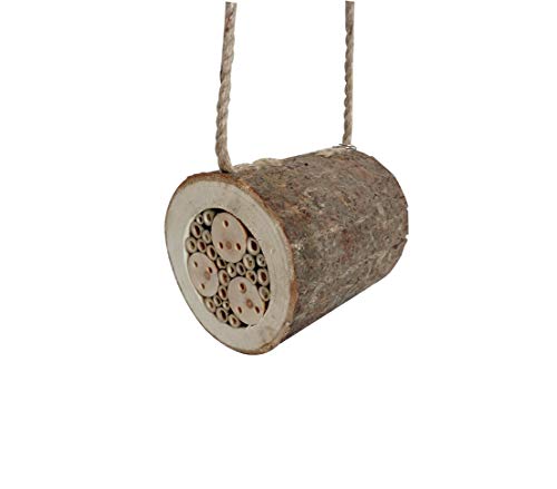 Dehner Natura Premium Insektenhotel Trentino, Insektenhaus / Nistkasten für Bienen/Schmetterlinge/Käfer, Ø 15 cm, Länge 17.5 cm, Pappelholz, beige/braun Dehner Natura Premium Insektenhotel Trentino, Insektenhaus / Nistkasten für Bienen/Schmetterlinge/Käfer, Ø 15 cm, Länge 17.5 cm, Pappelholz, beige/braun von Dehner