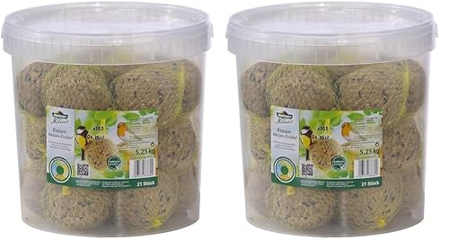 Dehner Natura Premium Riesen Meisenknödel mit Netz, ganzjähriges Wildvogelfutter proteinreich/energiereich, hochwertiges Vogelfutter für Wildvögel, 21 Stück je 250 g (5.25 kg) (Packung mit 2) von Dehner