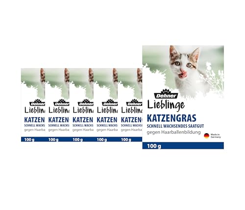Dehner Lieblinge Saatgut Katzengras, 6 Stück (600 g) von Dehner