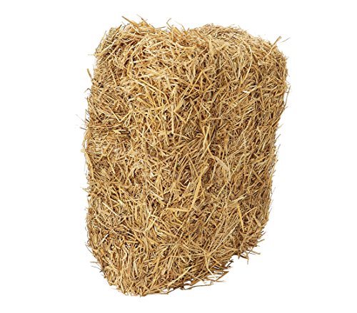 Dehner Strohballen, 7 kg Dehner Strohballen, 7 kg von Dehner