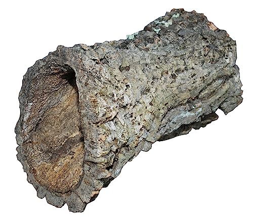 Dehner Terra Terrariendeko, Korkröhre, Größe L, ca. Ø 20-30 cm, Breite 30-55 cm, Naturkork, braun/beige Dehner Terra Terrariendeko, Korkröhre, Größe L, ca. Ø 20-30 cm, Breite 30-55 cm, Naturkork, braun/beige von Dehner
