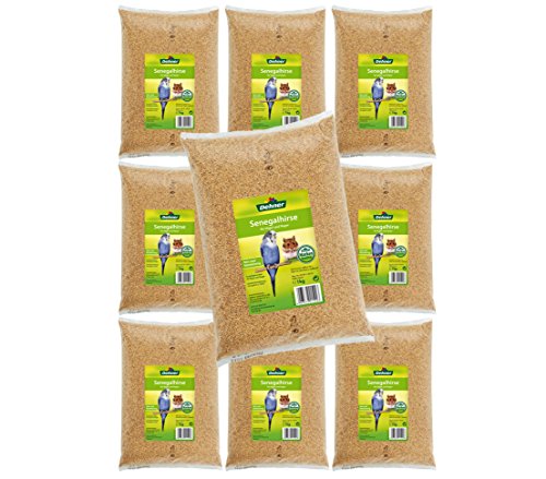 Dehner Vogelfutter Nagersnack, Senegalhirse 100 % natürlich, 10 x 1 kg (10 kg) von Dehner