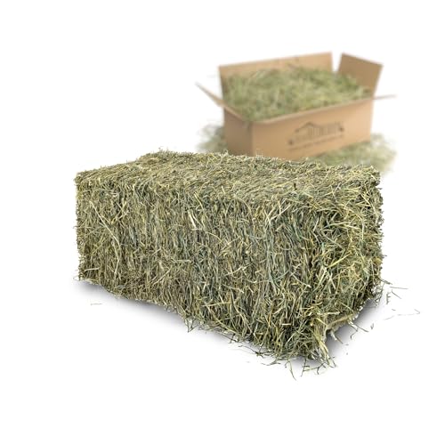 Dein Heuboden Heuballen 12-15kg Wiesenheu für Kaninchen Meerschweinchen Hamster Nager Kleintiere Dein Heuboden Heuballen 12-15kg Wiesenheu für Kaninchen Meerschweinchen Hamster Nager Kleintiere von Dein Heuboden