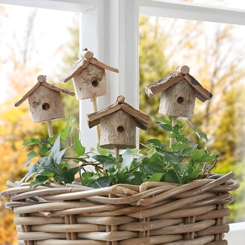 Dekoleidenschaft 4 Dekostecker Vogelhäuschen aus Holz, Natur, Stecker für Adventskranz, Gesteck & Blumentopf, Blumenstecker Dekoleidenschaft 4 Dekostecker Vogelhäuschen aus Holz, Natur, Stecker für Adventskranz, Gesteck & Blumentopf, Blumenstecker von Dekoleidenschaft