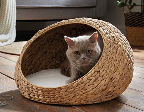 Tierbett Kuschelhöhle aus Wasserhyazinthe, Ø 50 cm, inkl. Kissen, Katzenkorb, Katzenbett, Hundebett, Hundekörbchen Tierbett Kuschelhöhle aus Wasserhyazinthe, Ø 50 cm, inkl. Kissen, Katzenkorb, Katzenbett, Hundebett, Hundekörbchen von Dekoleidenschaft