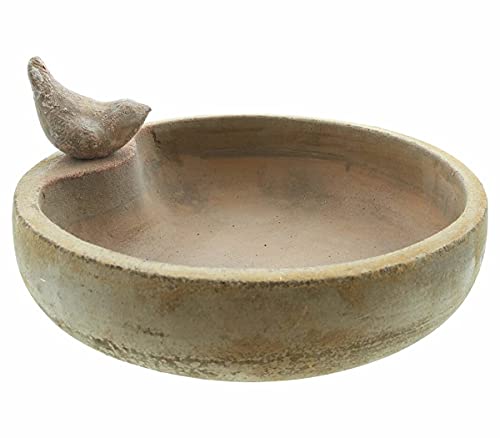 Dekoleidenschaft Vogeltränke aus Terracotta, 32x8 cm, im Antik-Look mit Zier-Vogel, Futterstelle, Vogelbad, Wassertränke, Wasserschale, Garten-Deko für Draußen, Vogelbecken, Vogelfutterstation von Dekoleidenschaft