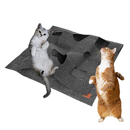Delaman Spielmatte für Katzen – Spielmatte, interaktive Trainingsmatte, Dunkelgrau von Delaman