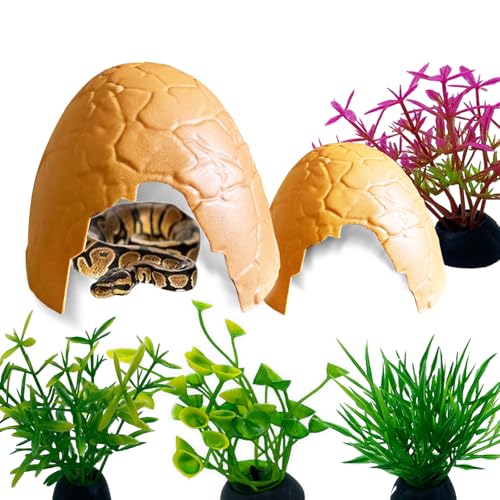 Eierschalenförmige Reptilienversteckhöhle, Reptilienversteck, Ballversteck, Höhle für Schildkröte, Einsiedlerkrebse, Eidechsen, Gecko, Frösche und Schlangen, Terrarium-Dekoration (braun, normal) von Delllala