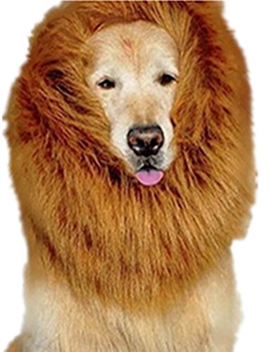 Demarkt Hundekostüm Löwenmähne für Hunde (Braun) von Demarkt