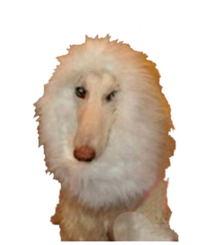 Demarkt Hundekostüm Löwenmähne für Hunde (Weiß) von Demarkt