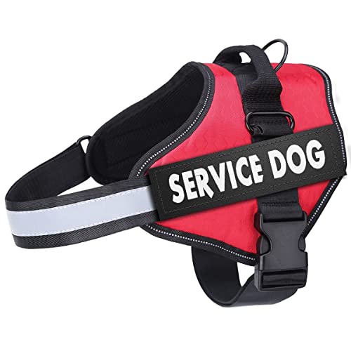 Demigreat Hundegeschirr, Weich Gepolstert Hunde Geschirr, XS, rot von Demigreat