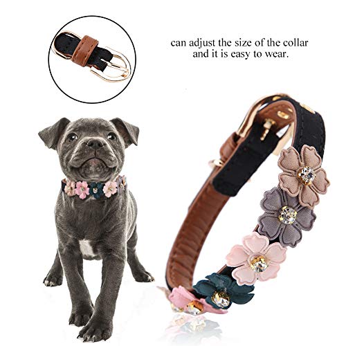Haustierhalsband, Hundefliege, Modisches Leder für Mittelgroße Haustiere für Kleine Haustiere (1,3 * 42cm) von Denash