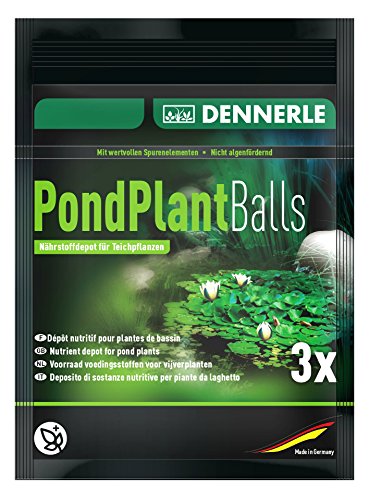 Dennerle 3582 Pond Plant Balls, 3 Stück von Dennerle