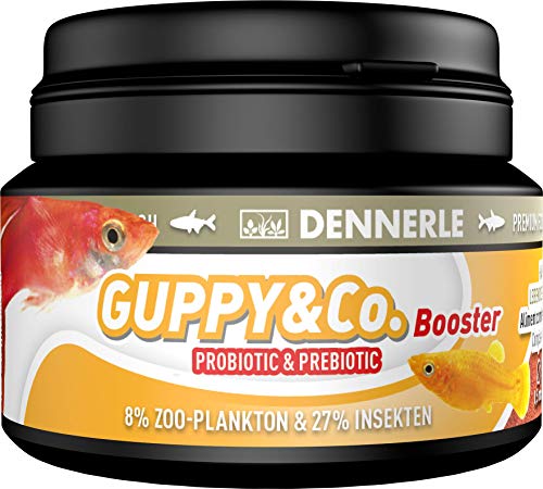 Dennerle Guppy & Co. Booster - Futter für lebendgebärende Fische wie Guppy & Platy von Dennerle