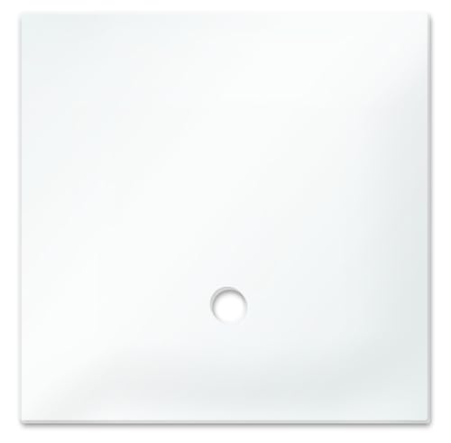 Dennerle Abdeckscheibe Nano Cube, 60 L, Glas, Terrarium von Dennerle