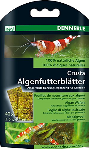 Dennerle Nano Algenfutterblätter, 3er Pack (3 x 3,5 g) von Dennerle