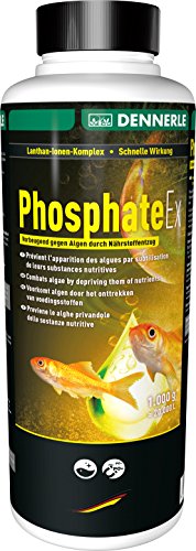 Dennerle PhosphateEx Algenschutz für Gartenteich - Effiziente Vorbeugung gegen Algenplagen (1000 g) von Dennerle