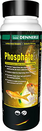 Dennerle PhosphateEx Algenschutz für Gartenteich - Effiziente Vorbeugung gegen Algenplagen (500 g) von Dennerle