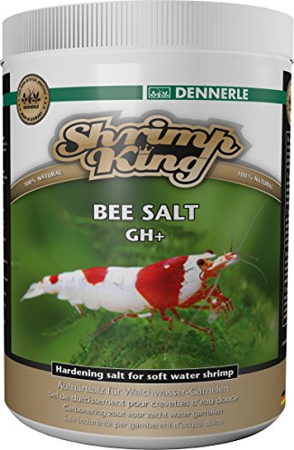Shrimp King Bee Salt GH+ 1000 g -Multi-Mineralsalz für Weichwassergarnelen von Dennerle