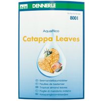 DENNERLE Catappa Leaves 10Stück von Dennerle