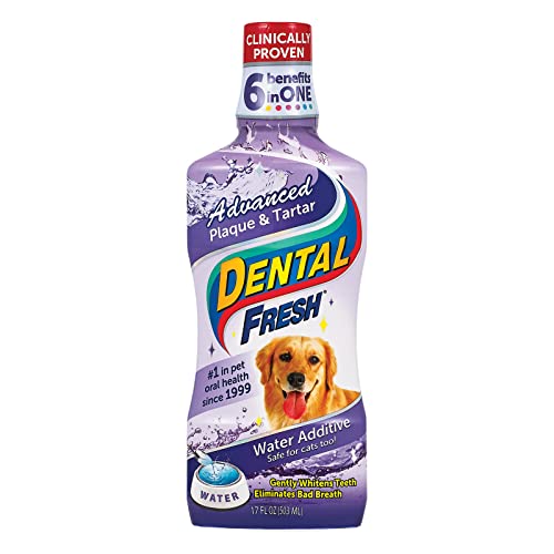 Dental Fresh Advanced Plaque & Tartar 503ml Dental Fresh Advanced Plaque & Tartar 503ml von Dental Fresh