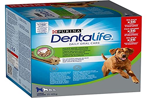 DENTALIFE Hundebett, groß, 1272 g von Dentalife