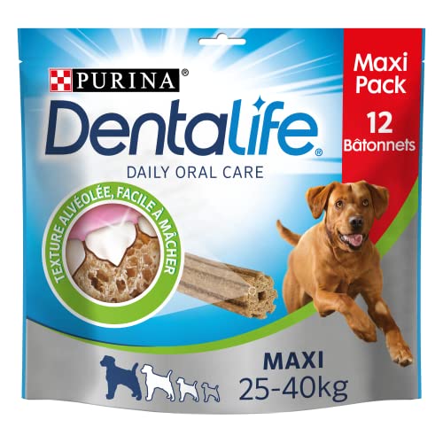 PURINA DENTALIFE Maxi | Leckerli für große Hunde | 12 Kaustäbchen | Huhn | Maxi-Pack | 426 g | Mundhygiene von Dentalife