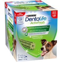 PURINA Dentalife Active Fresh Tägliche Zahnpflege-Snacks für kleine Hunde - 30 Sticks von Dentalife