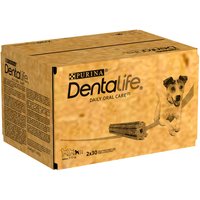 PURINA Dentalife Tägliche Zahnpflege-Snacks für kleine Hunde - 60 Sticks (20 x 49 g) von Dentalife