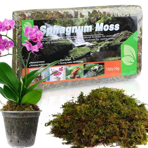 Denxahao Sphagnum Moos Torfmoos für Garten Zimmerpflanzen Terrarien, Schildkröte Schlange Reptil Überwinterungs moos Einstreu Natürlich und ohne Chemische Zusätze (1 Stück) von Denxahao