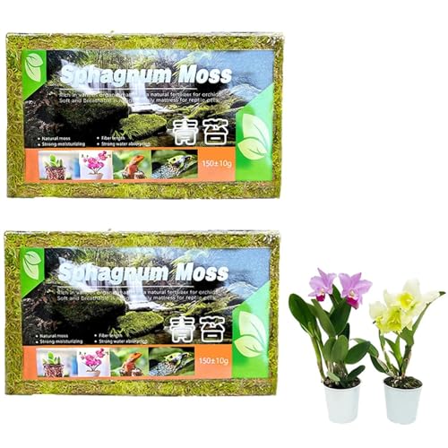 Denxahao Sphagnum Moos Torfmoos für Garten Zimmerpflanzen Terrarien, Schildkröte Schlange Reptil Überwinterungs moos Einstreu Natürlich und ohne Chemische Zusätze (2 Stück) von Denxahao