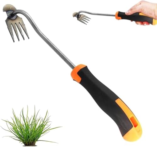 Denxahao Unkrautjäter Unkrautstecher mit Stiel Unkraut Entferner Gerät Handjätgerät Edelstahlmaterial Unkraut Entferner Gartenhelfer Fugenkratzer Unkraut Entwurzelung Jäten Werkzeug (B) von Denxahao