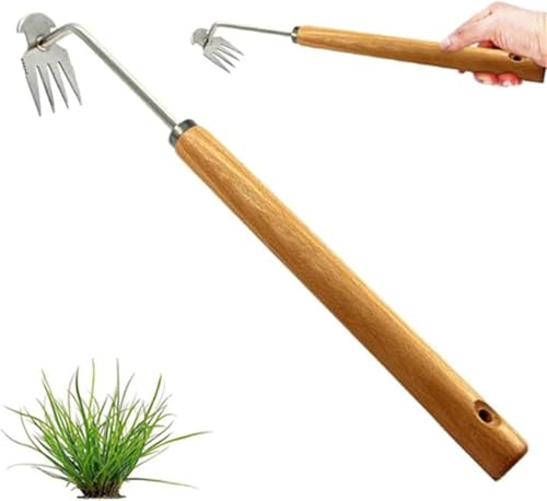 Denxahao Unkrautjäter Unkrautstecher mit Stiel Unkraut Entferner Gerät Handjätgerät Edelstahlmaterial Unkraut Entferner Gartenhelfer Fugenkratzer Unkraut Entwurzelung Jäten Werkzeug (C) von Denxahao