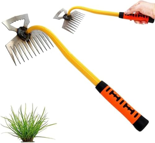 Denxahao Unkrautjäter Unkrautstecher mit Stiel Unkraut Entferner Gerät Handjätgerät Edelstahlmaterial Unkraut Entferner Gartenhelfer Fugenkratzer Unkraut Entwurzelung Jäten Werkzeug (E) von Denxahao