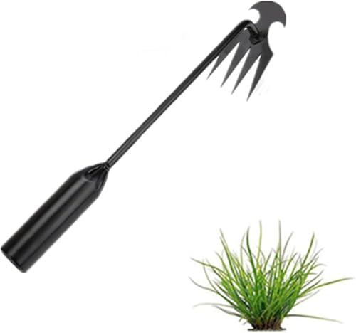 Denxahao Unkrautjäter Unkrautstecher mit Stiel Unkraut Entferner Gerät Handjätgerät Edelstahlmaterial Unkraut Entferner Gartenhelfer Fugenkratzer Unkraut Entwurzelung Jäten Werkzeug (F) von Denxahao