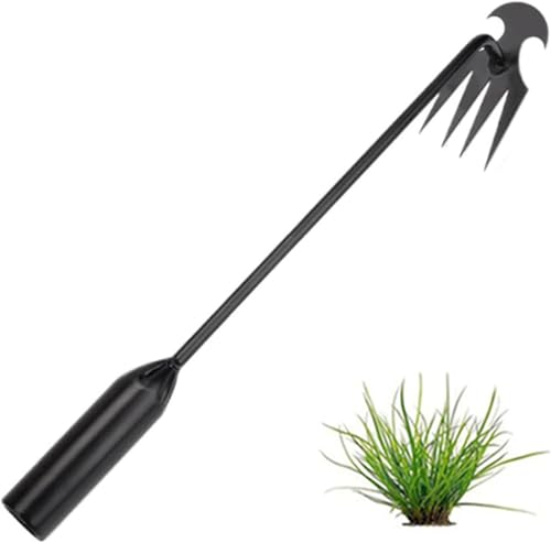 Denxahao Unkrautjäter Unkrautstecher mit Stiel Unkraut Entferner Gerät Handjätgerät Edelstahlmaterial Unkraut Entferner Gartenhelfer Fugenkratzer Unkraut Entwurzelung Jäten Werkzeug (G) von Denxahao