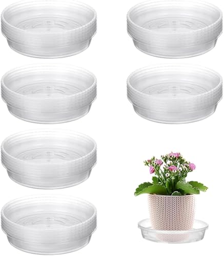 Untersetzer Blumentopf Kunststoff Transparenter Verdickter Runder Blumentopf Tablett Auffangschale Blumentablett Pflanztöpfe Für Drinnen Draußen Garden Töpfe (30 Stück-15cm) von Denxahao