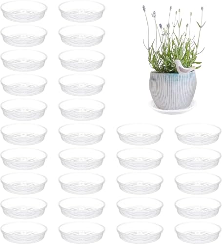 Untersetzer Blumentopf Kunststoff Transparenter Verdickter Runder Blumentopf Tablett Auffangschale Blumentablett Pflanztöpfe Für Drinnen Draußen Garden Töpfe (30 Stück-30cm) von Denxahao