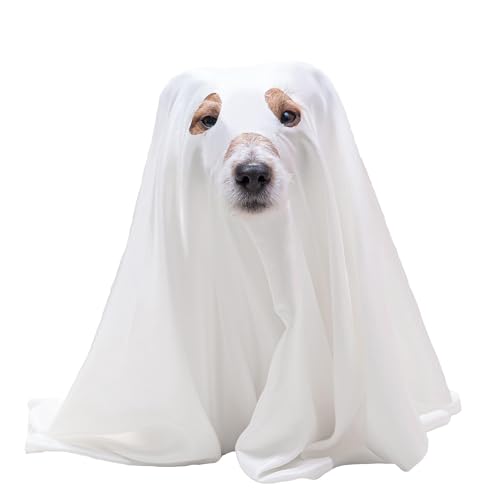 Halloween-Hundekostüm, 180 x 120 cm, für Halloween, weiße Geist, Hundekleidung für Hunde, Katzen, Geist, Cosplay, Kleidung, niedlicher Party-Umhang für Halloween, Cosplay-Party von Denylo pro